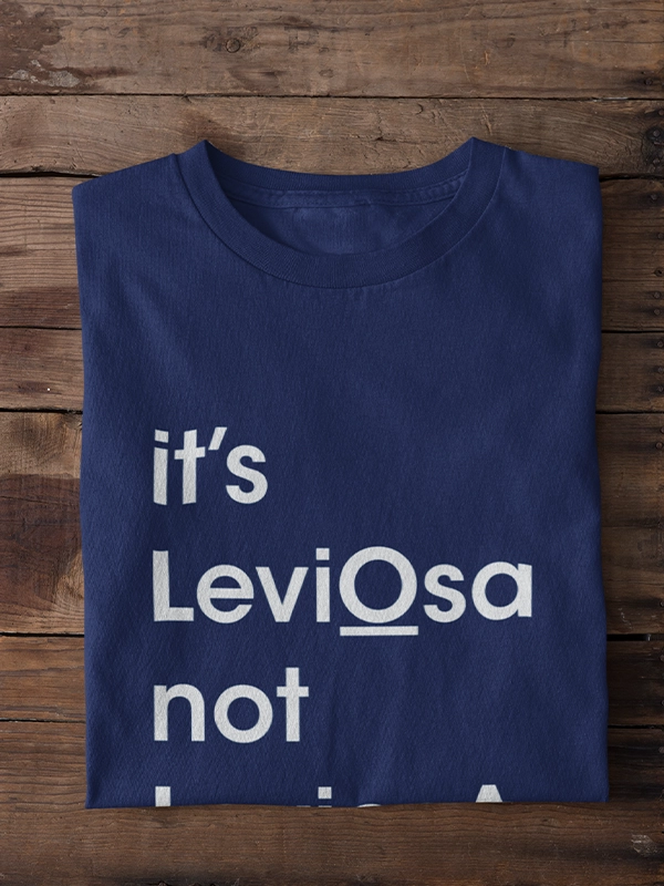 Harry Potter Leviosa Tshirt